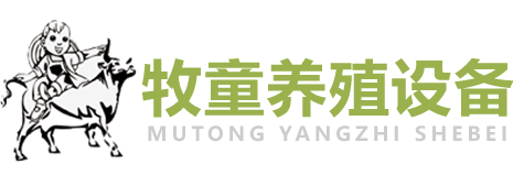 乐玩大厅官网